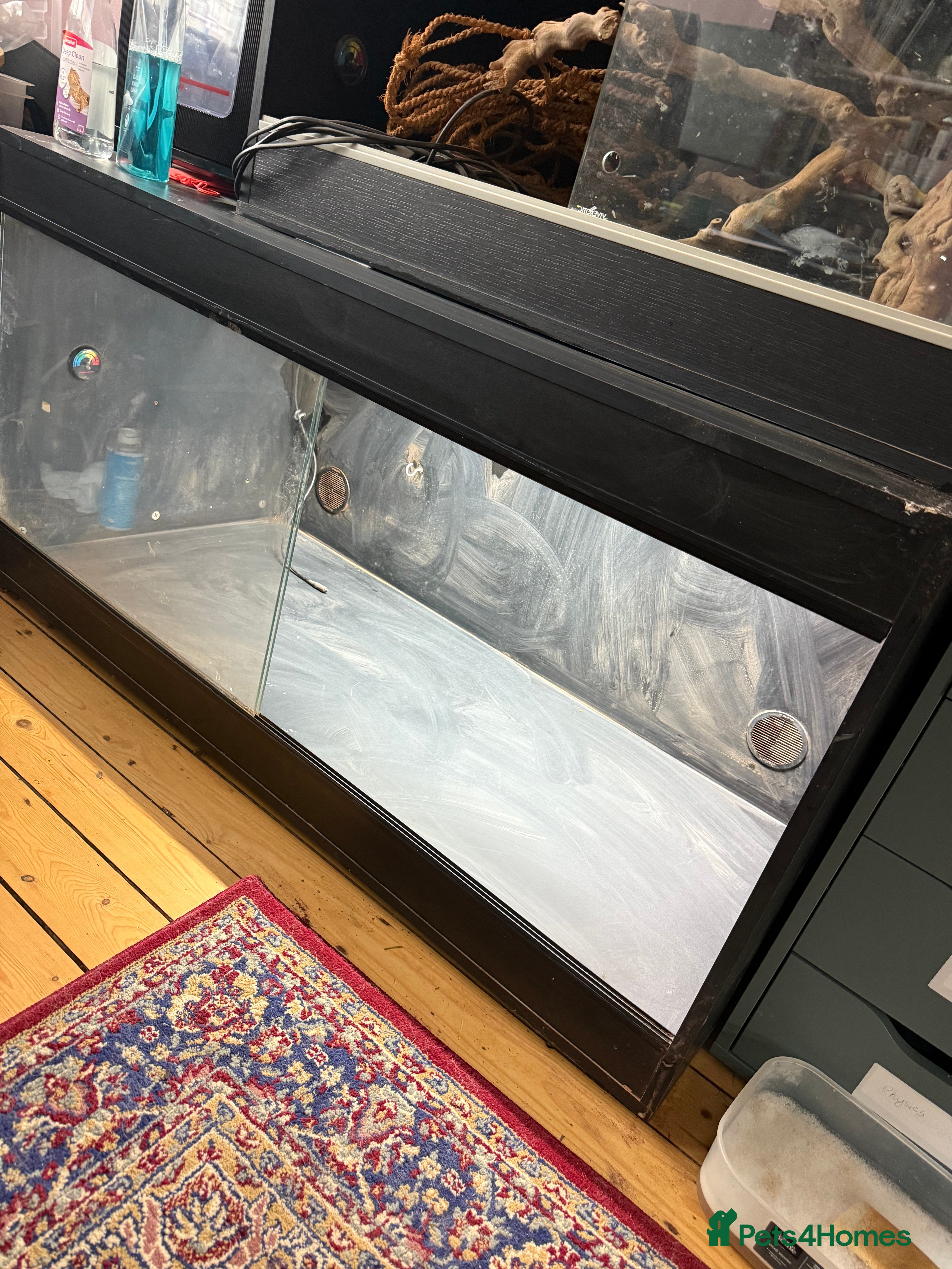 Bearded Dragon reptiles Bearded dragon vivarium with fittings  - Advert 2