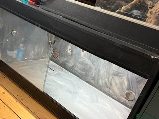 Bearded Dragon reptiles Bearded dragon vivarium with fittings - Advert 3