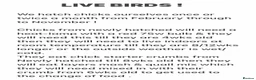 Quail poultry for sale: QUAIL HATCHING EGGS/CHINESE PAINTED BUTTONS - Advert 36