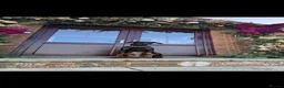 Dobermann dogs for sale: HOME BRED DOBERMAN PUPPIES in Billingshurst - Advert 5