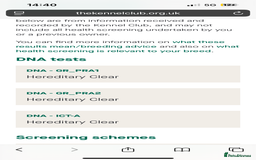 Golden Retriever dogs for sale: Stunning Golden Retriever Adult - Image 5