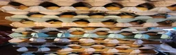 Pheasants poultry for sale: Fertile Pheasant Eggs in Leamington Spa - Advert 1