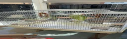 Budgerigars birds for sale: Sadly Rehoming My Two Lovely Budgies - Advert 2