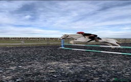 Connemara horses for sale: Abros 🫶🏻🥕 - Image 1