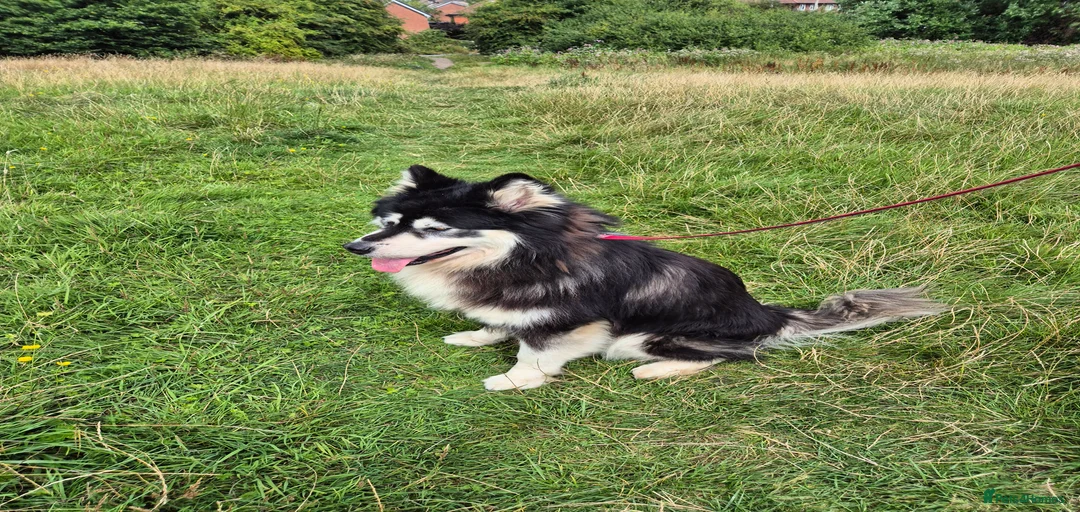 Gallery Image {{count}}