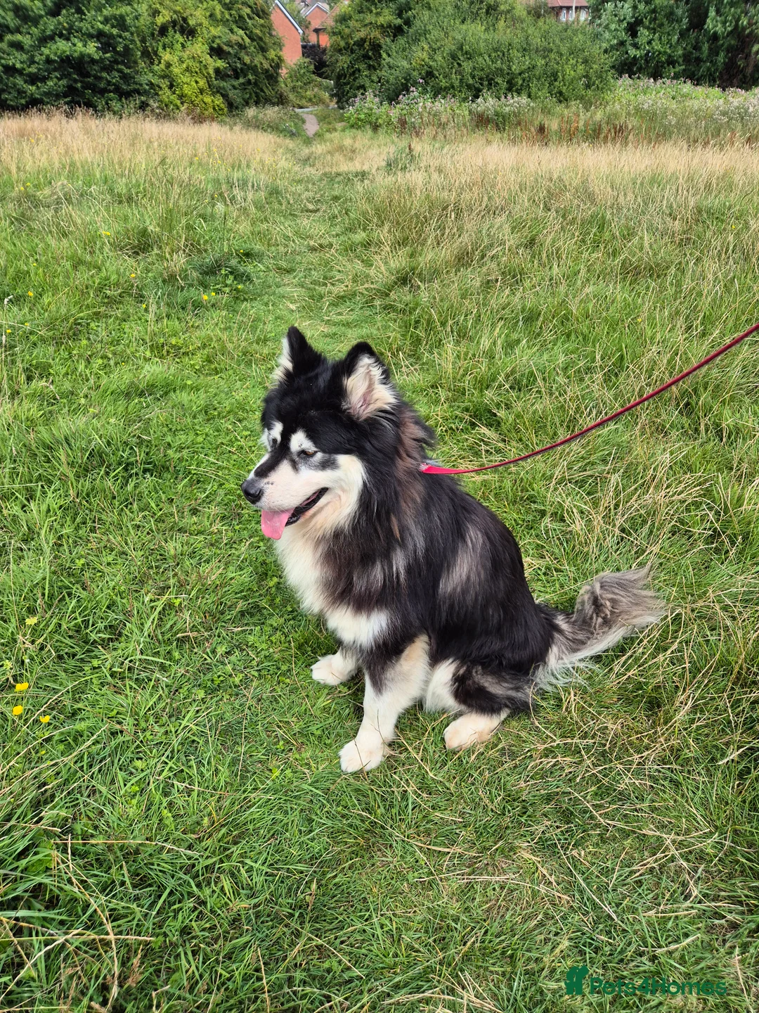 Gallery Image {{count}}