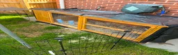 Mixed Breed rabbits for sale: 2 male rabbits  - Advert 3
