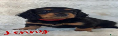 Lenny