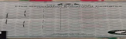 Labrador Retriever dogs for sale: DRAKESHEAD & FENDAWOOD PUP'S FOR SALE in South Molton - Advert 9