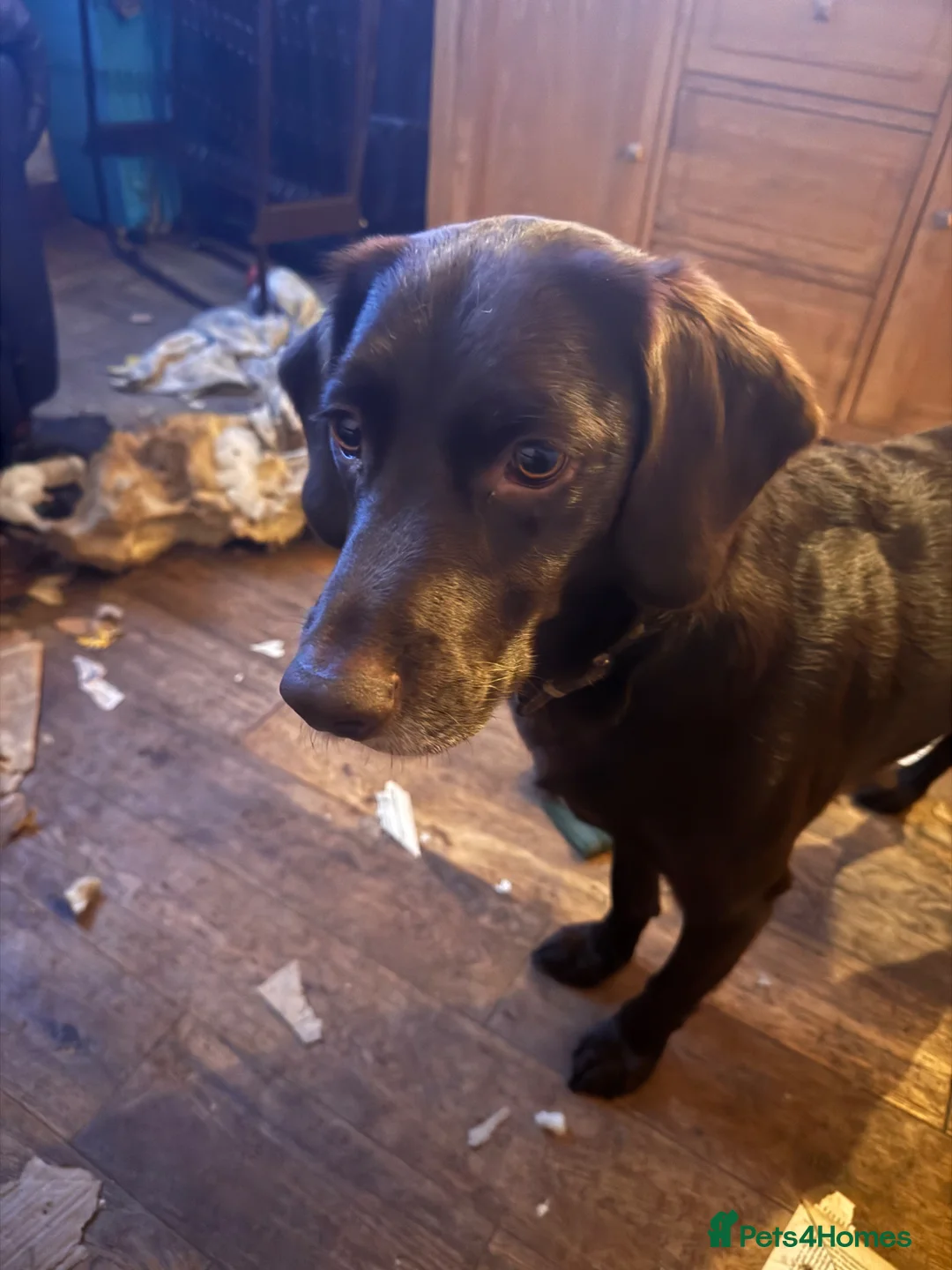 Gallery Image {{count}}