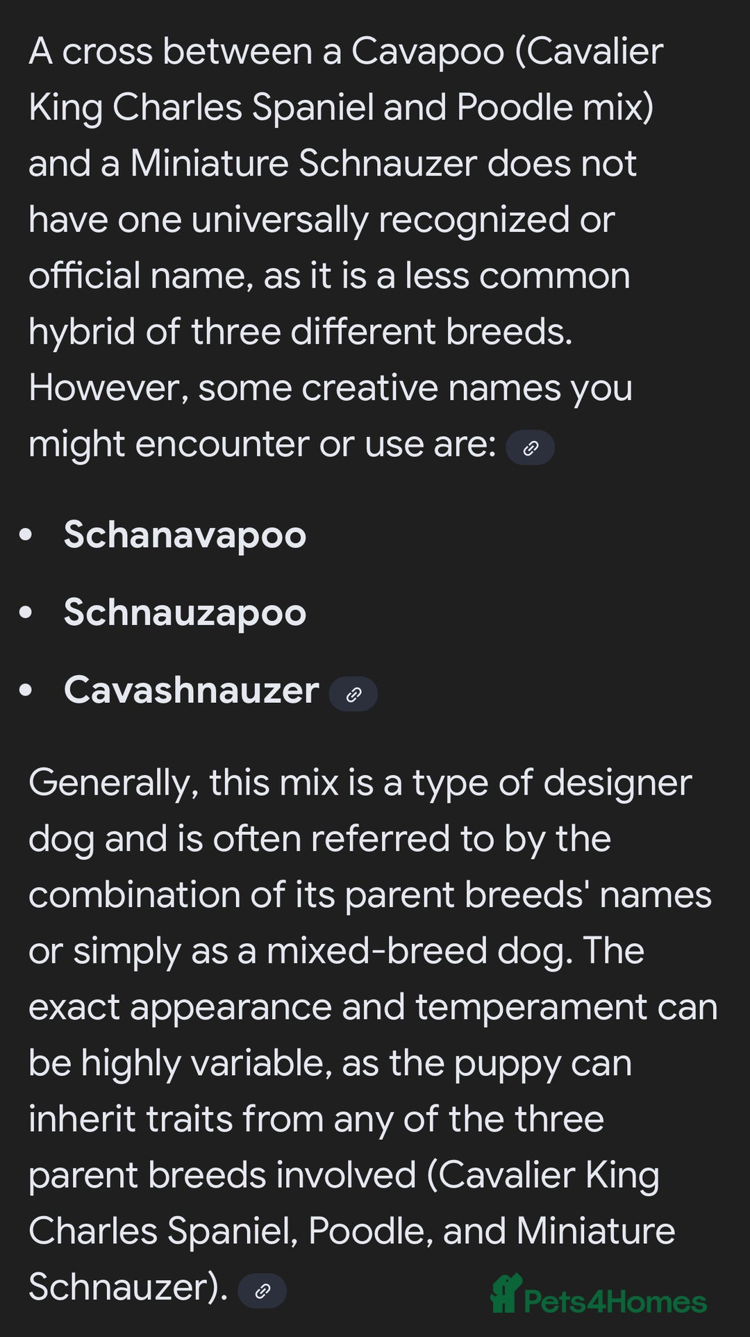 Mixed Breed dogs for sale: 🐾🐶Adorable and very cute Cavaschnauzer 🐶🐾 - Image 25