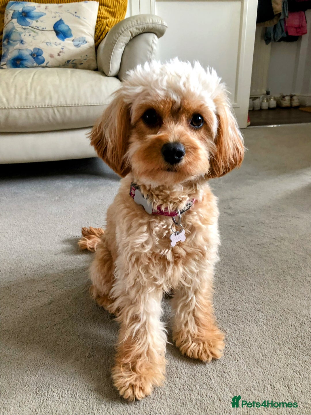 Gallery Image {{count}}