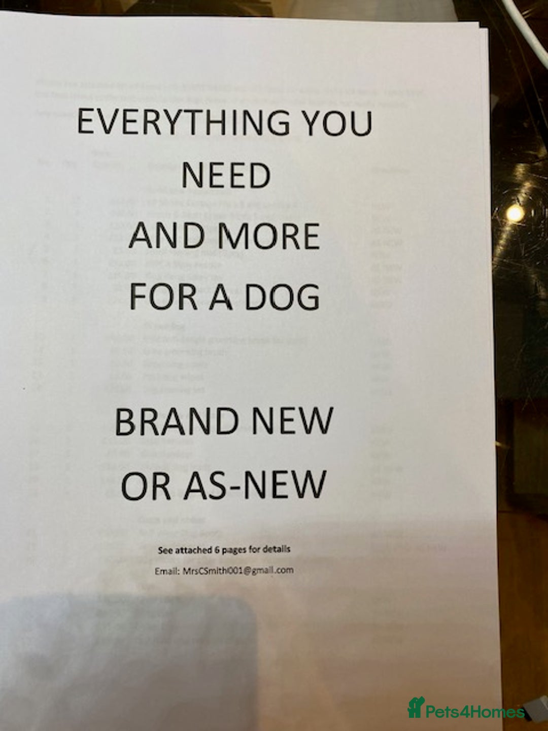 Mixed Breed dogs for sale: All Equipment needed for a dog - Advert 1