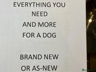 Mixed Breed dogs All Equipment needed for a dog - Advert 1