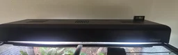 Frog reptiles for sale: RETF in an Exo Terra 60x60x45 Bioactive Terrarium in Tadley - Advert 7