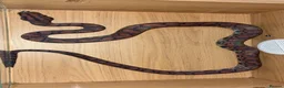Boa Snake reptiles for sale: Brazilian Rainbow Boa - Advert 4