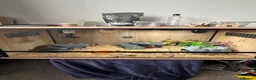 Leopard Gecko reptiles for sale: Beautiful male leopard gecko and full set up  - Advert 1