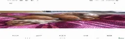 Miniature Dachshund dogs for sale: Miniature Dachshund pups - Advert 1
