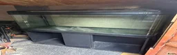 Other/Mixed Breed fish for sale: 4ft fish tank, stand and pumps for sale  - Advert 1