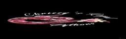 Python Snake reptiles for sale: 23 Royal Pythons for sale  - Advert 1