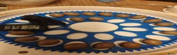 Quail poultry for sale: BUTTON Quails - Advert 3