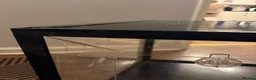 Hamster rodents for sale: BUCATSTATE hamster cage  - Advert 4