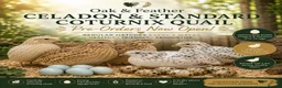 Quail poultry for sale: Celadon & Coturnix Quail | Pre-Orders Open - Advert 1