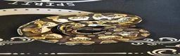 Python Snake reptiles for sale: Beautiful Pastel Sugar Royal Python - Advert 3