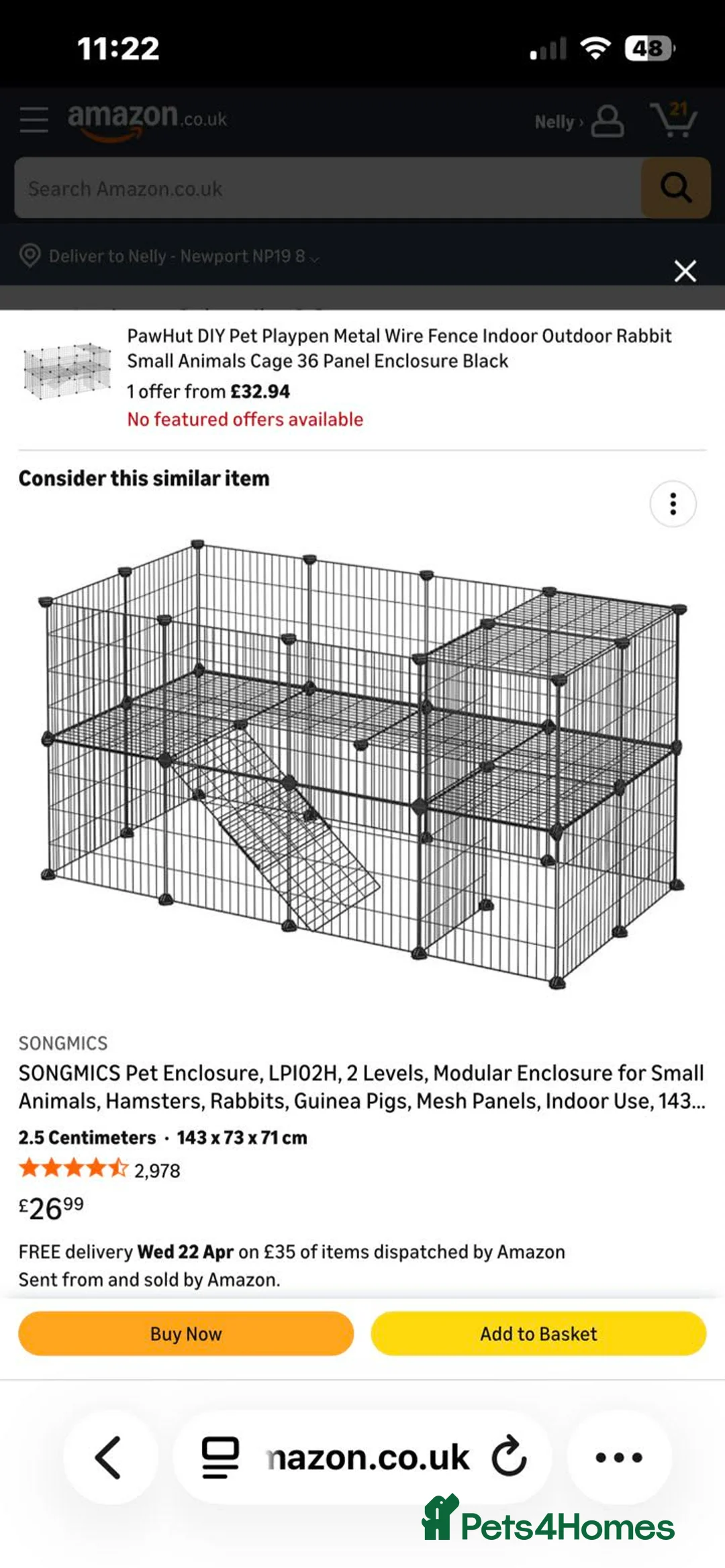Dwarf Lop rabbits for sale: Deaf lop / lion head  in Newport - Advert 2