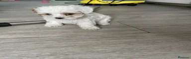 RESERVED 