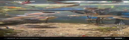 Pufferfish fish for sale: Spotted Congo puffers  - Advert 1