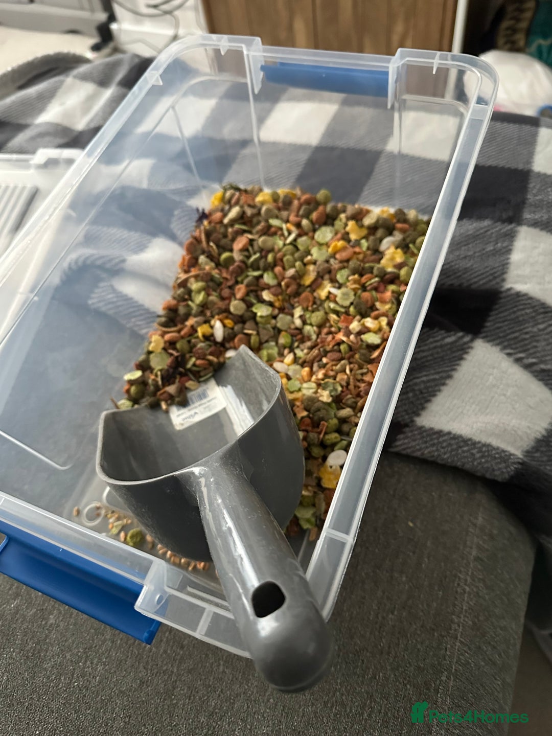 Hamster rodents for sale: Bucatstate 3.0 cage and accessories - Advert 4