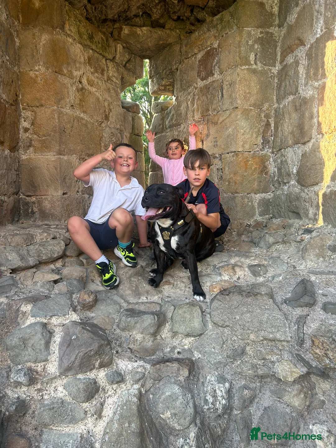 Gallery Image {{count}}