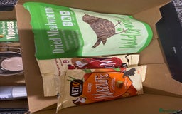 Hamster rodents for sale: 2 male gerbils - Image 9