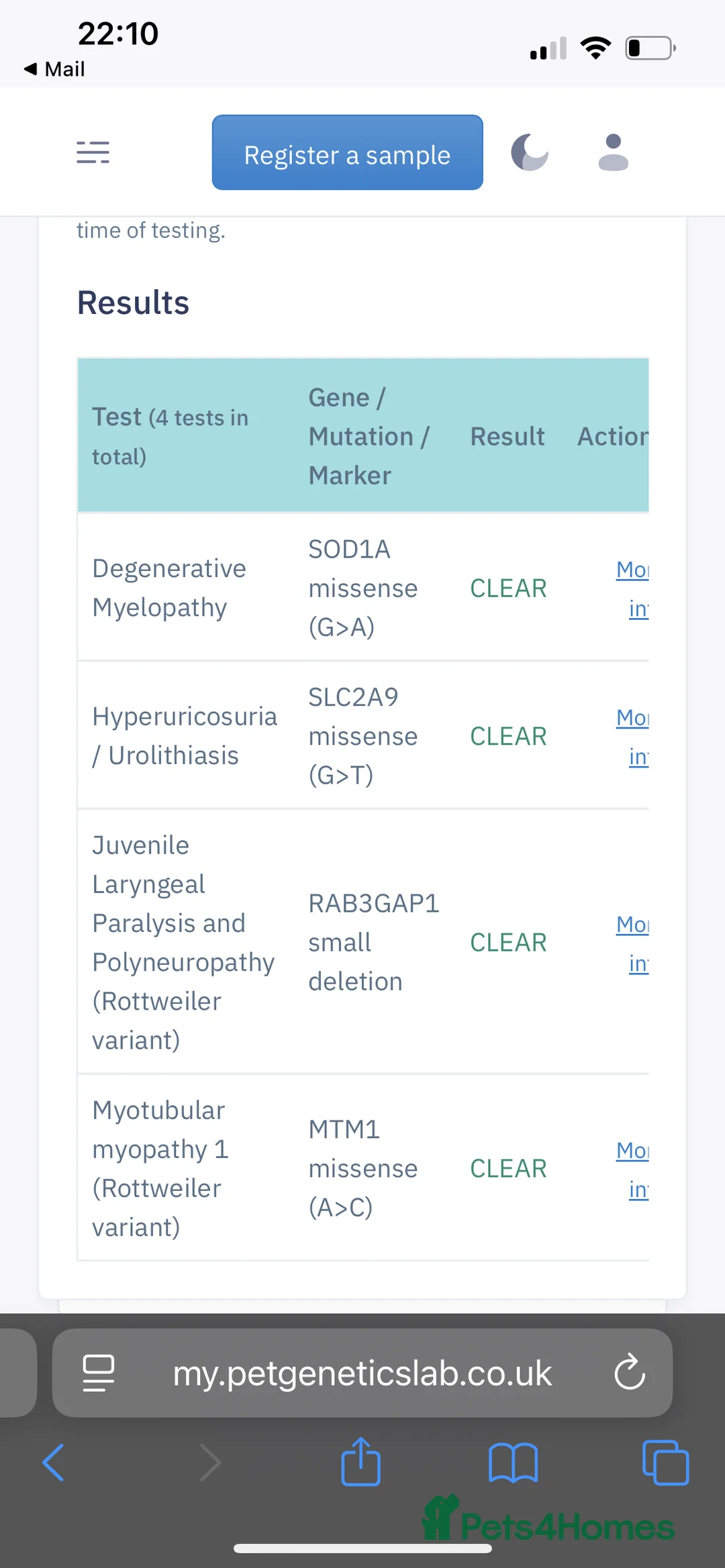 Rottweiler dogs for stud: Hector 60kg plus Rottweiler KC Reg  in Stanford-le-Hope - Advert 19