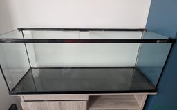 Other/Mixed Breed fish for sale: Fish Tank with Stand and Fluval 207 filter - Image 3