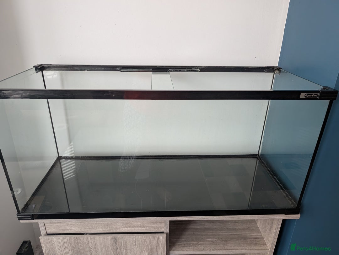 Other/Mixed Breed fish for sale: Fish Tank with Stand and Fluval 207 filter - Image 3