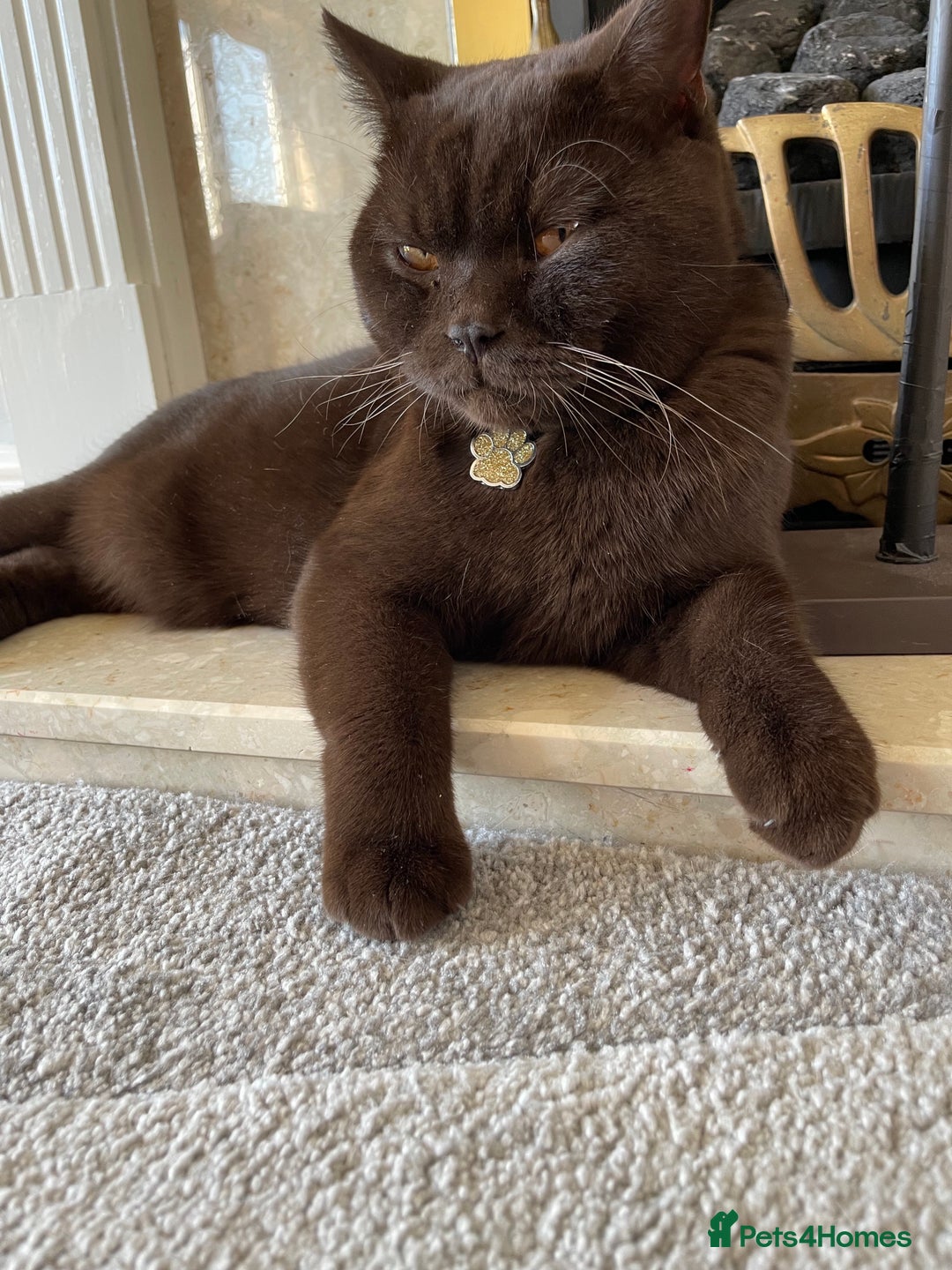 Gallery Image {{count}}