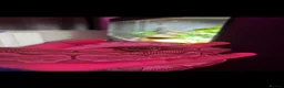 Python Snake reptiles for sale: female bamboo royal python in Hereford - Advert 5