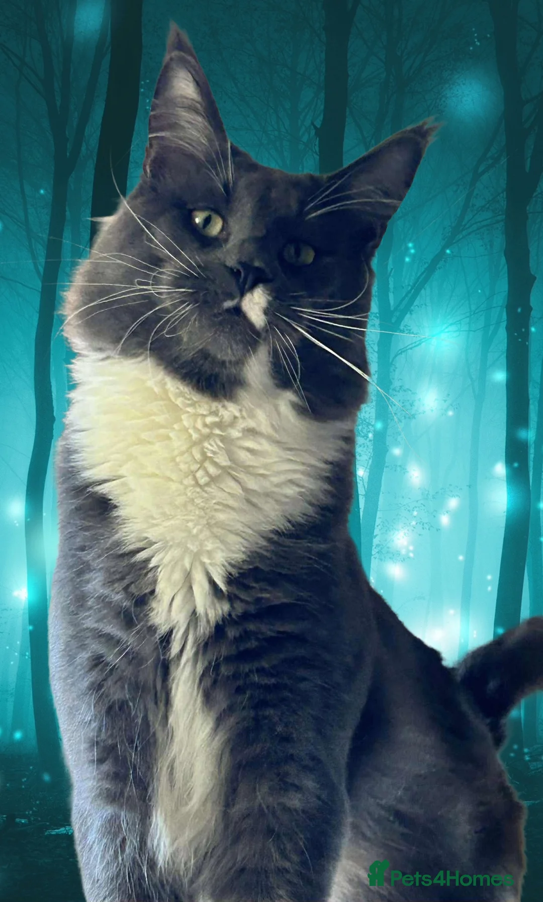 Gallery Image {{count}}