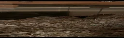 Gerbil rodents for sale: 2 male gerbils with full setup  - Advert 4