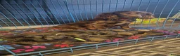 Sprocker dogs for sale: Beautiful sprocker puppies  - Advert 20