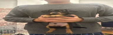 Smaller Boy 