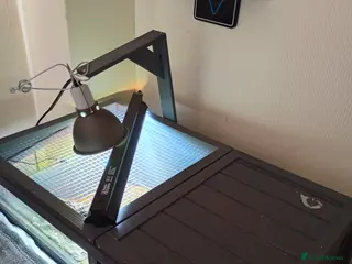 Tortoise reptiles Tortoise and enclosure - Advert 11