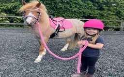 Welsh Section A horses for sale: Toni The Pony 10.3hh Mare 🦄 - Image 11