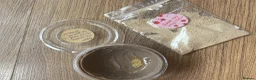 Isopods invertebrates for sale: Ceratophysella isabellae "Yellow" Spring tails  - Advert 3