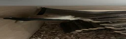 Bearded Dragon reptiles for sale: Bearded dragon  - Advert 4