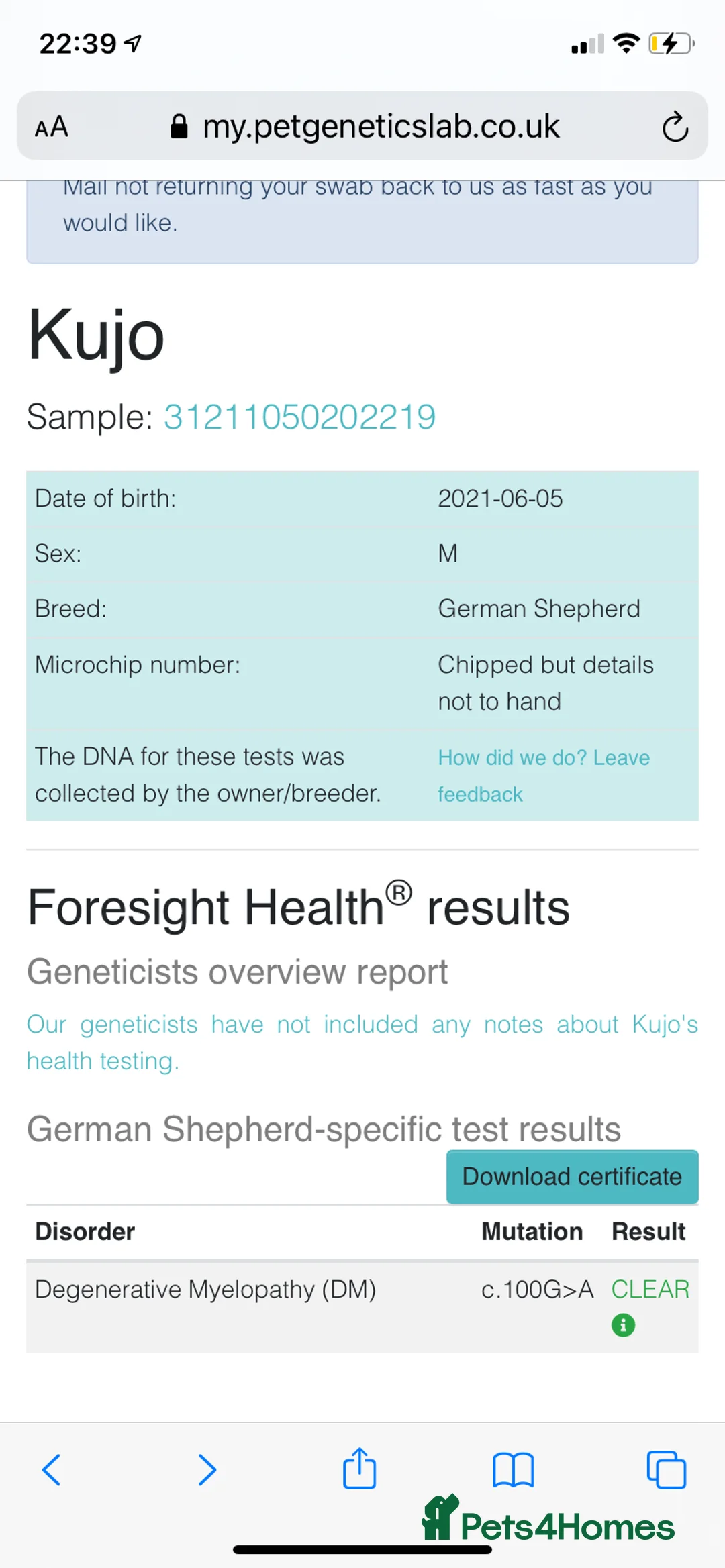 German Shepherd dogs for sale: Beautiful German shepherd pups **DM Clear!** - Advert 19