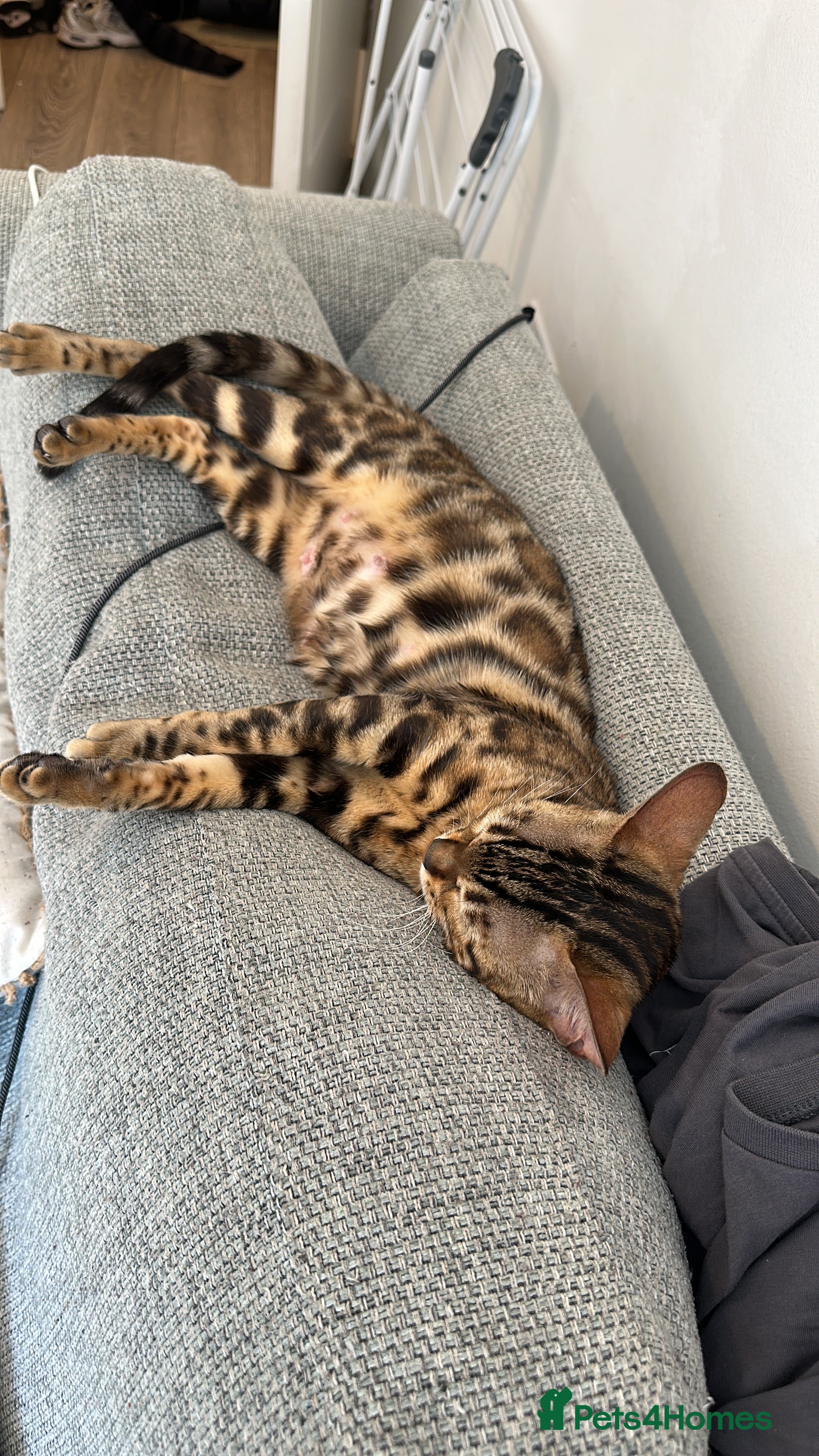 Nala