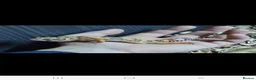 Leopard Gecko reptiles for sale: Leopard gecko for sale with the viv - Advert 10